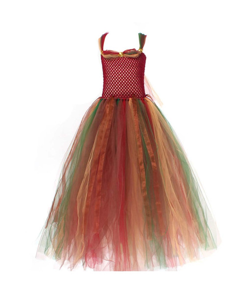 Fairy Princess Dress with Wing Tutu Skirt Girl Kids Halloween Costume