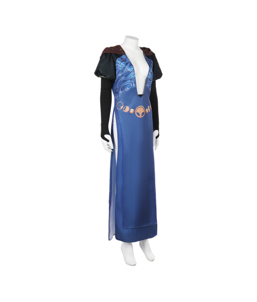 Women Medieval Fantasy Blue V Neck Long Dress Princess Wizard Halloween Costume