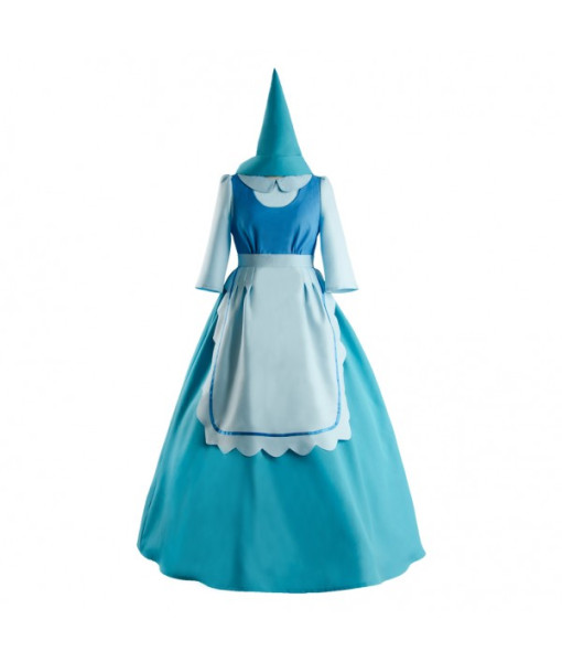 Cinderella Dress Adult Cosplay Costume