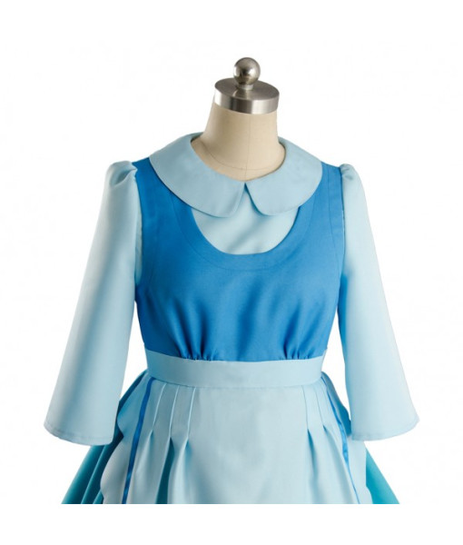 Cinderella Dress Adult Cosplay Costume