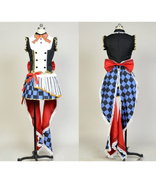 Honoka Kousaka LoveLive! Cafe Maid Uniform Cosplay Costume 
