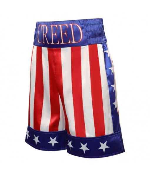 Men Boxing American Flag Shorts Casual Outfit