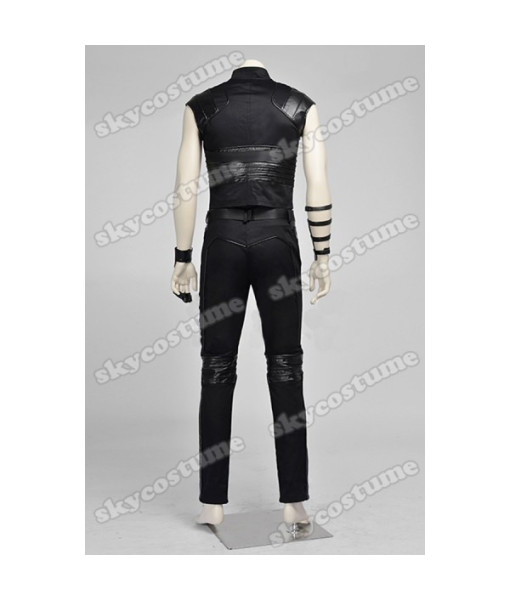Avengers: Age of Ultron Hawkeye Cosplay Costume Full Set  from Avengers