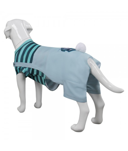 Slytherin Hogwarts Legacy Pet Outfit Halloween Cosplay Costume
